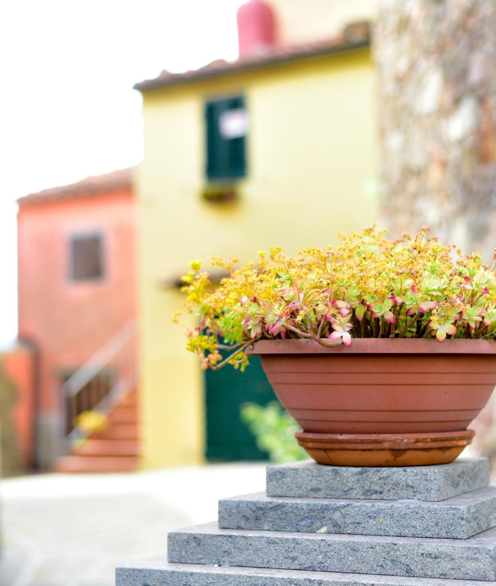 Agriturismo Castello Delle Fornaci - Private Jacuzzi Arcidosso Eksteriør bilde